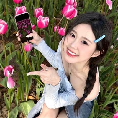白鹭